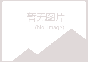 鹤岗兴山迷茫工程有限公司